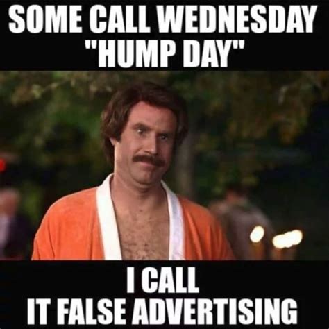 sexy happy hump day meme|25 Hump Day Memes That Make Wednesdays。